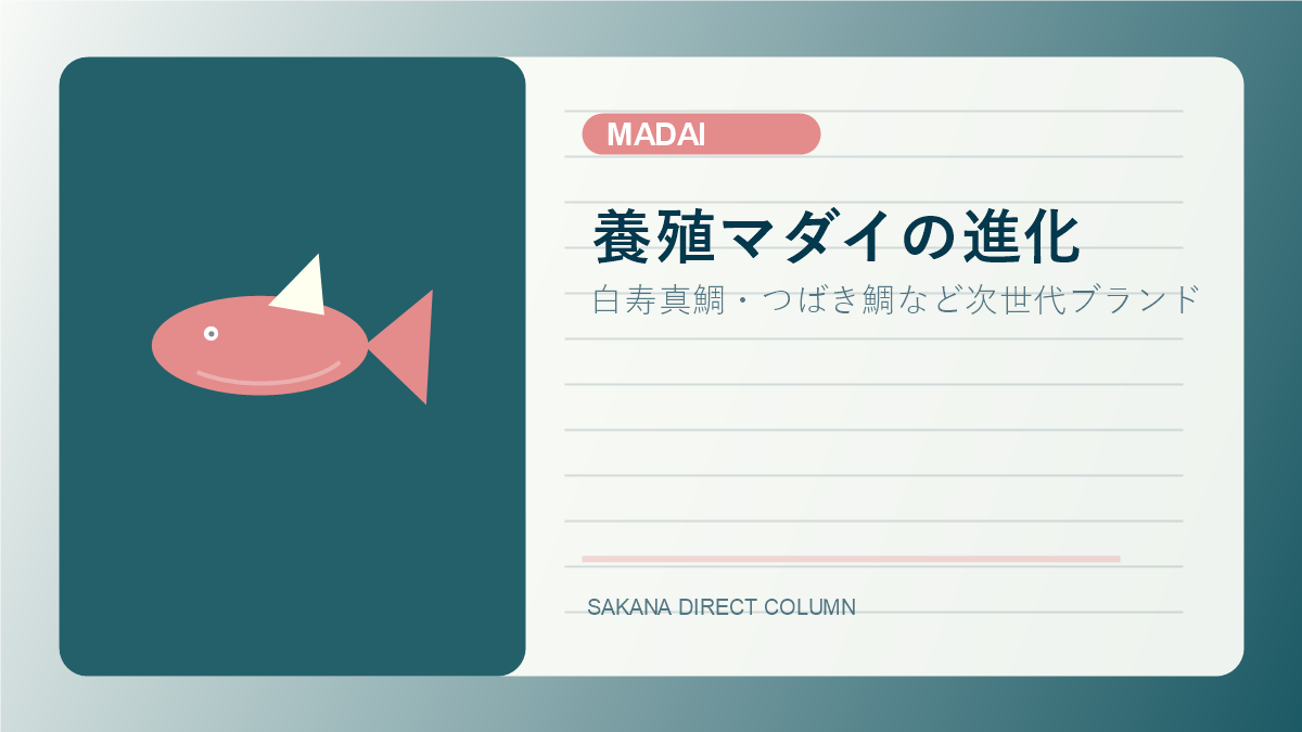 SAKANA DIRECT madai column thumbnail