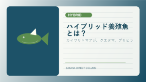 SAKANA DIRECT hybrid fish column thumbnail